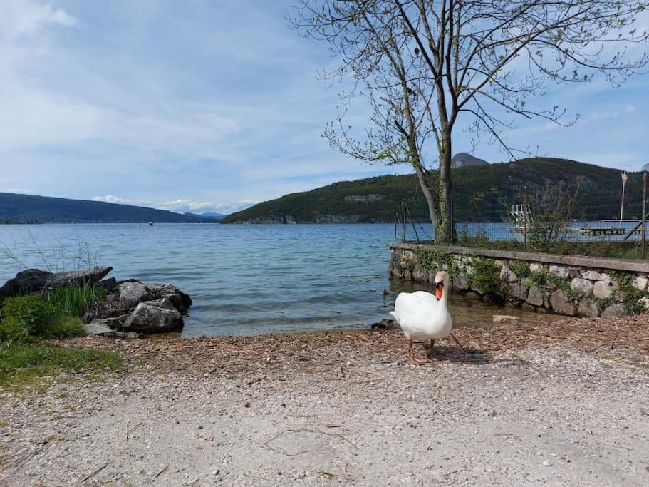 Charmant Et Spacieux Appartement A Quelques Pas Du Lac Duingt Exteriör bild